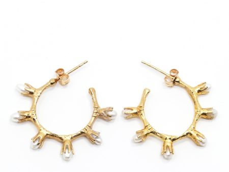 THE BAMBOO Pearl Earrings Online