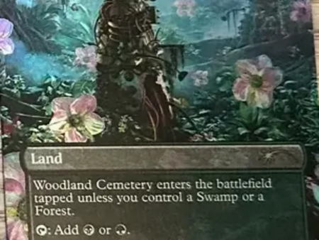 Woodland Cemetery [Secret Lair Drop Series] For Discount