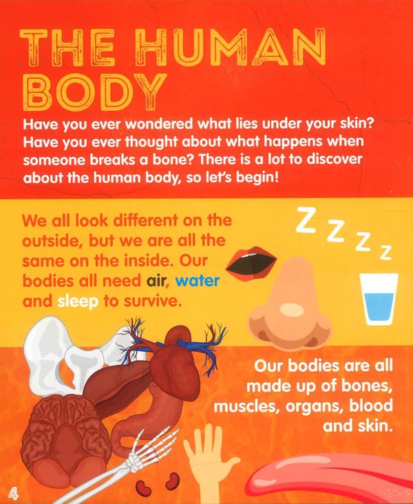 Extreme Facts: Human Body Discount