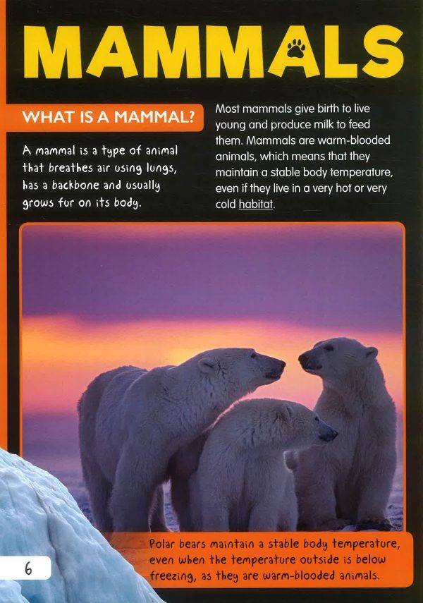 Animal Classification: Mammals Cheap