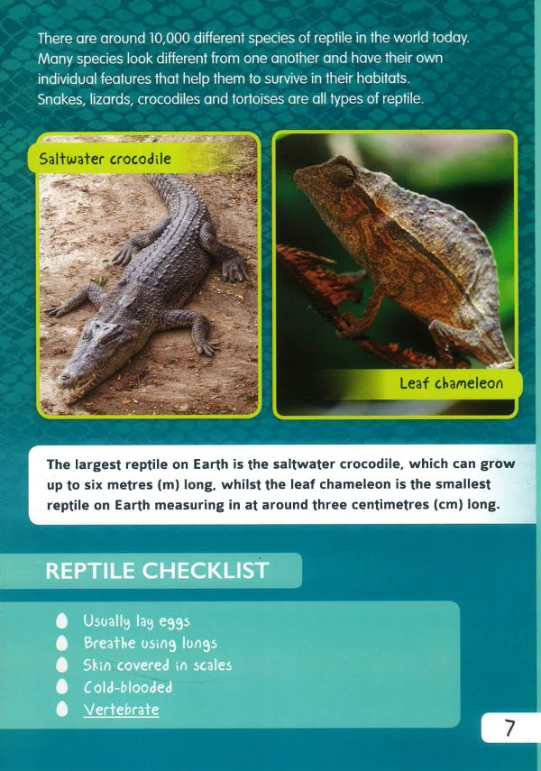 Animal Classification: Reptiles Online