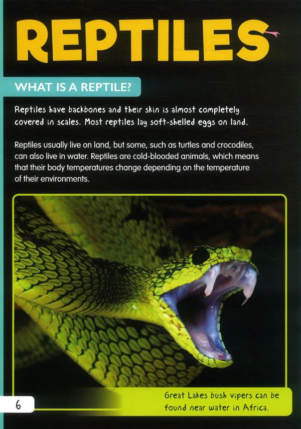 Animal Classification: Reptiles Online