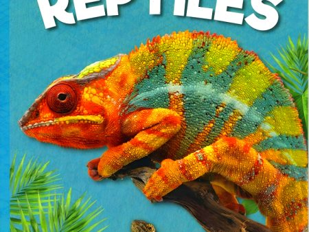 Animal Classification: Reptiles Online