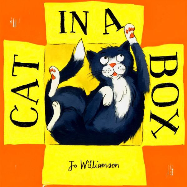 Cat In A Box Online Hot Sale