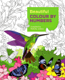 Arcturus Colour: Beautiful Colour By Numbers For Sale